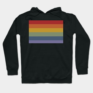 Pretty Rainbow Baby Hoodie